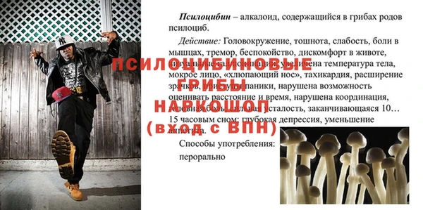 бутират Каменка