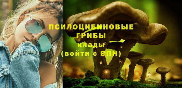 бутират Каменск-Шахтинский