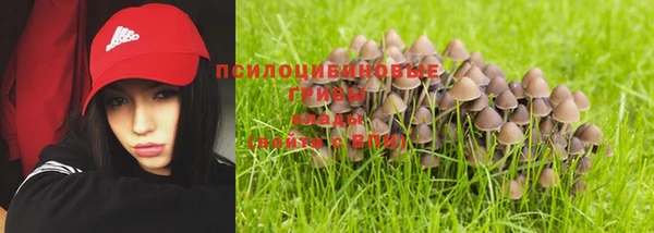 бутират Каменка